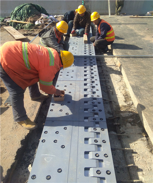 1633658112939673.jpg 7fadd2b921eb346f6d6ed19b67cbdb5_副本.jpg